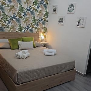 Estudio Estándar